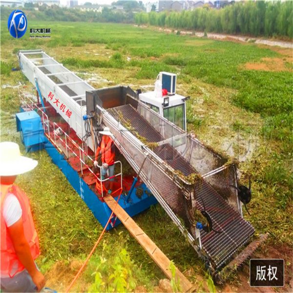 2湖北宜昌水葫芦打捞船 (4).jpg