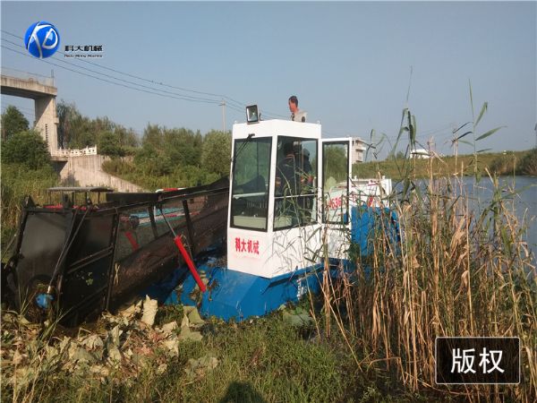 ?江苏句容全自动水葫芦打捞船现场视频