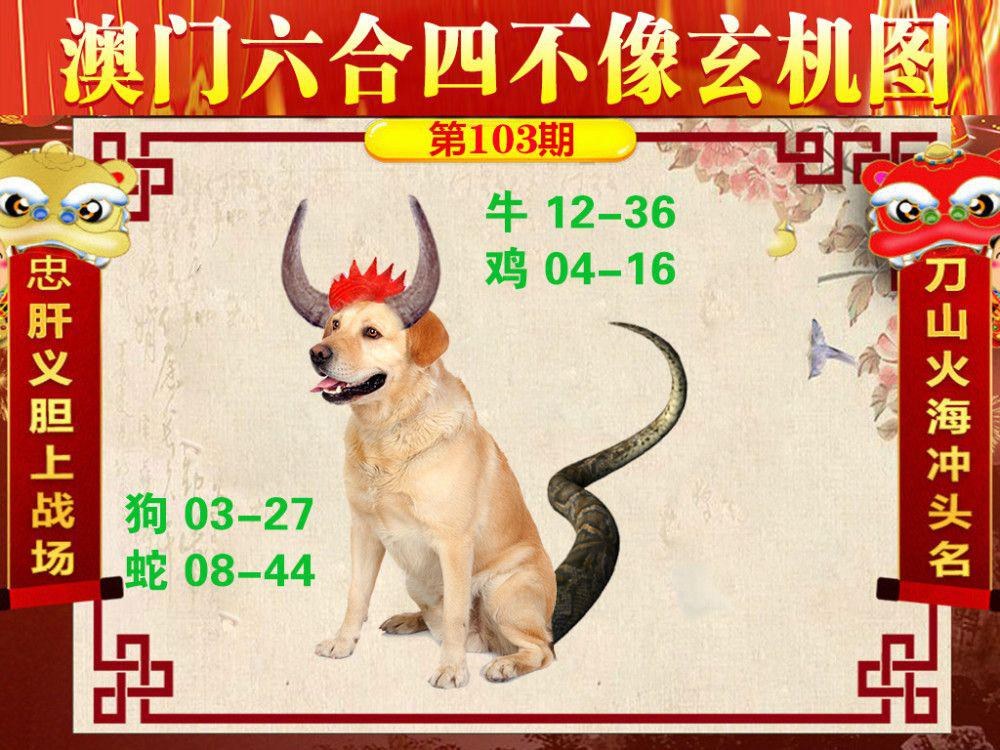 澳门精准5肖5码（澳门五码中特默认版块）