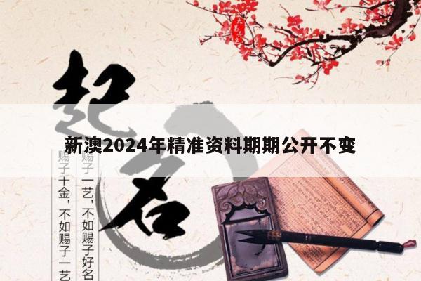 新澳2024年精准资料期期公开不变