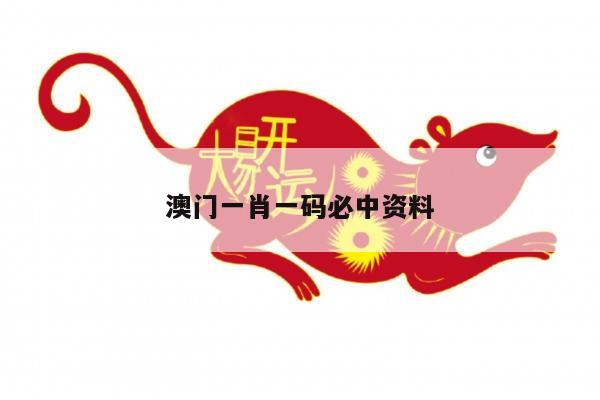 澳门一肖一码必中资料