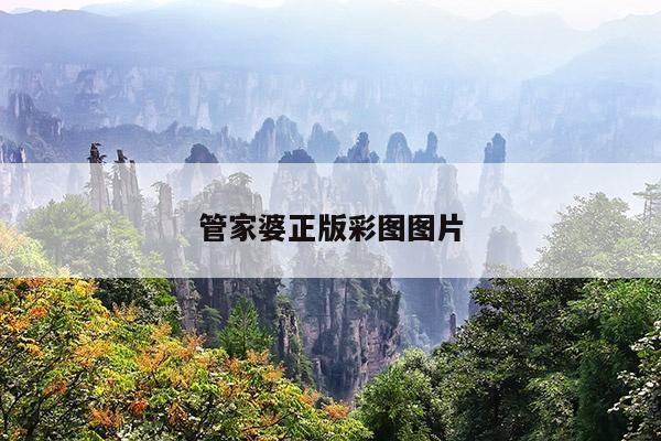 管家婆正版彩图图片