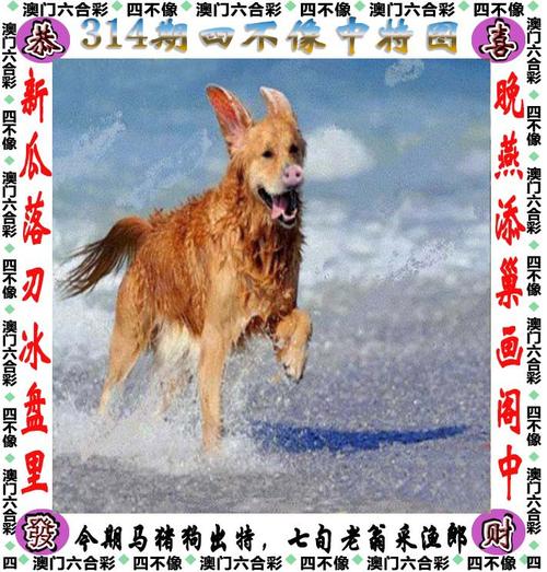 综合物流服务 第293页