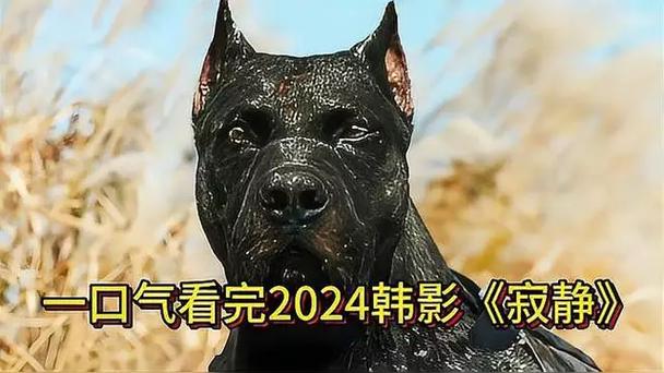 综合物流服务 第291页