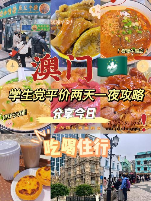 2024年12月 第269页